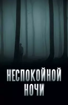 Неспокойной ночи (2023)